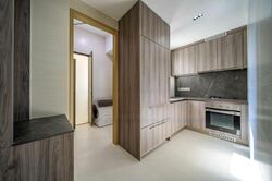 Klimt Cairnhill (D9), Apartment #458848081